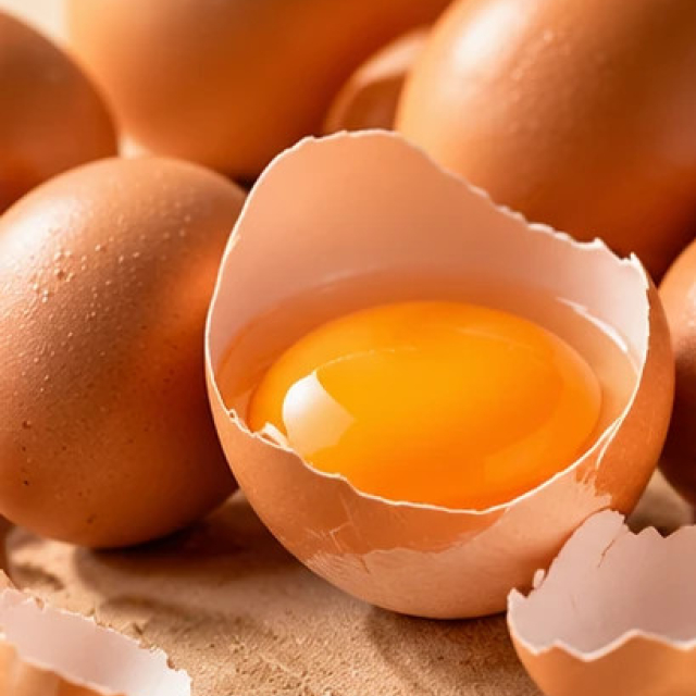 Egg Products